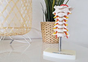 physiotherapie-in-borken-sektoraler-heilpraktiker